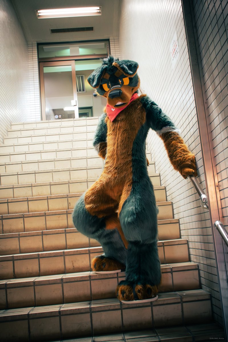 ⬛️🐕
⬛️⬛️
⬛️⬛️⬛️