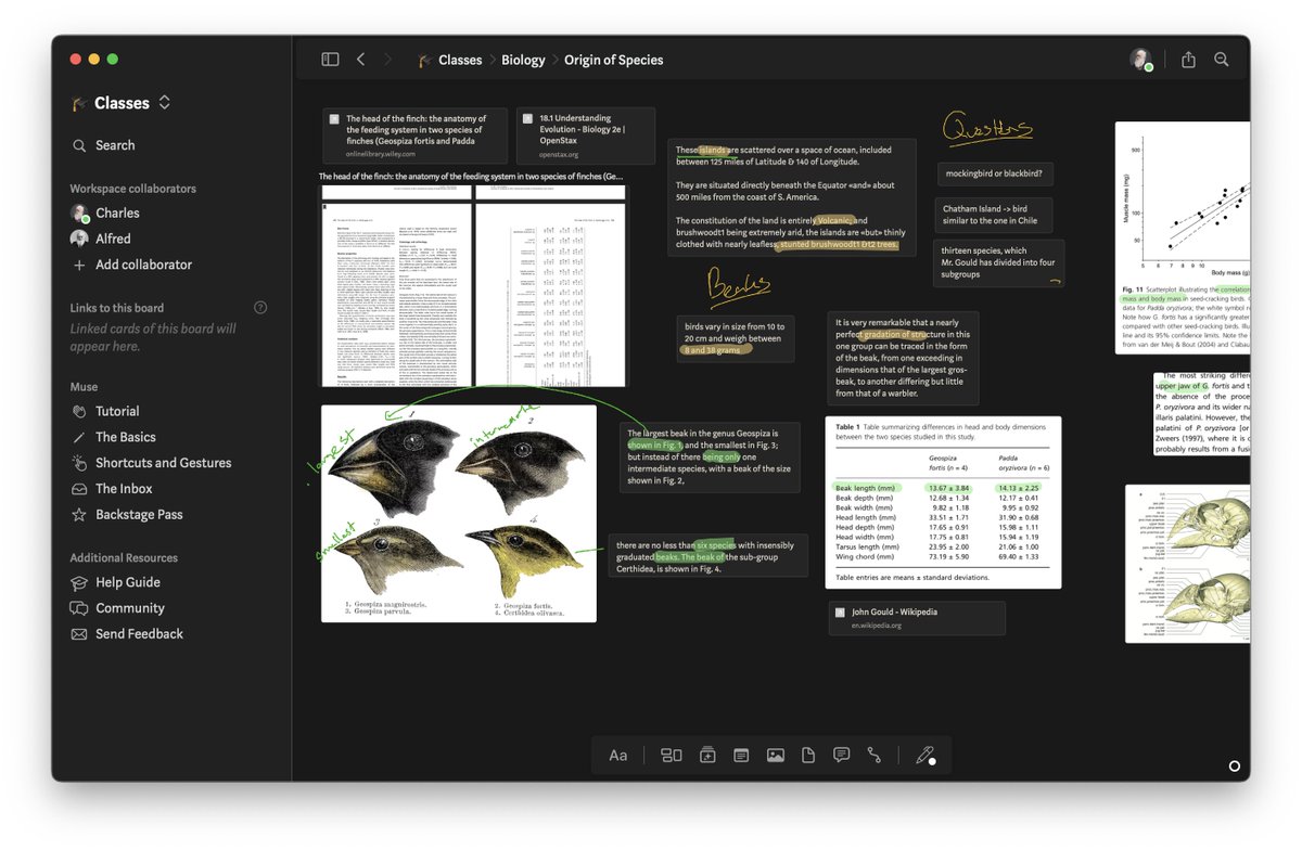 Muse lets you add ink, images, text, files, pdfs, and even other whiteboards in your whiteboards - it's whiteboard-ception 💡 Get 20% off of Muse for the Dark Mode launch! apps.apple.com/redeem?ctx=off…