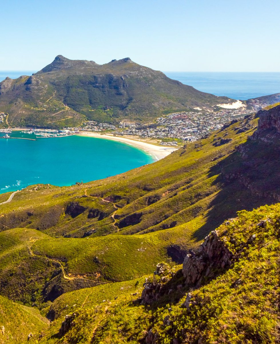 SoEarthen's tweet image. Hout Bay, Cape Town, South Africa  #Coastal #Fynbos