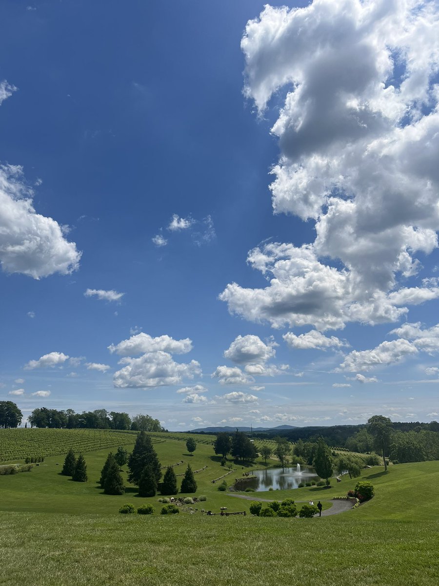 ericamooon's tweet image. winery date!!🍇💌🐢