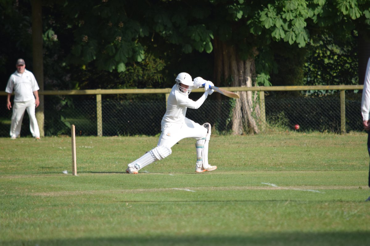 The Bushmen tweet media