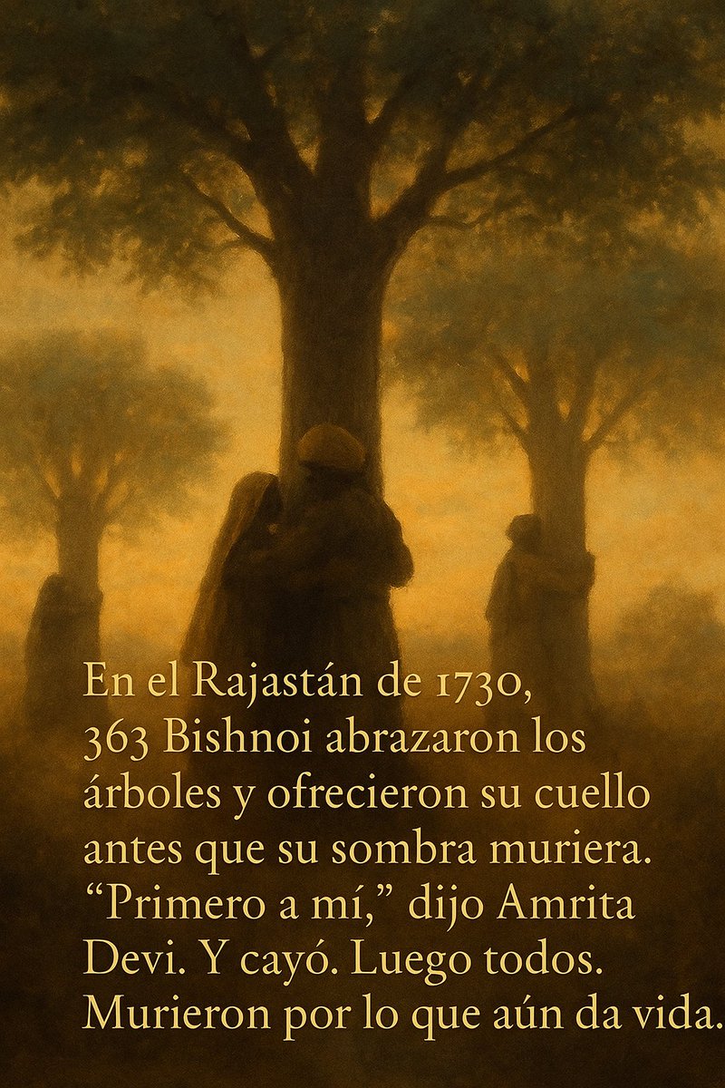 Txaber Sáenz Dañobeitia (@txabersaenz) on Twitter photo 