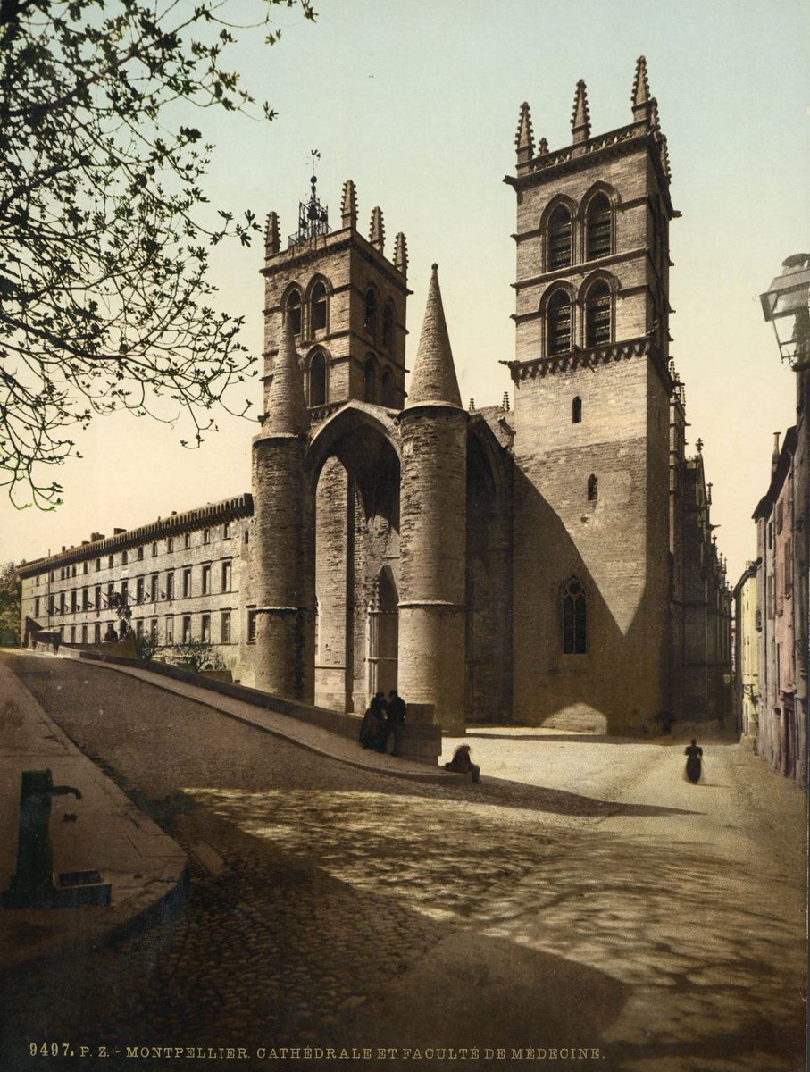 Archives de Montpellier (@archivesmtp34) on Twitter photo #JeudiPhoto #JeudiArchives
📸La cathédrale et la Faculté de Médecine de <a href="/montpellier_/">Ville de Montpellier</a> vers 1895. Série de photochromes édités à Zurich.
15Fi16 #JeudiPhoto #JeudiArchives
📸La cathédrale et la Faculté de Médecine de <a href="/montpellier_/">Ville de Montpellier</a> vers 1895. Série de photochromes édités à Zurich.
15Fi16