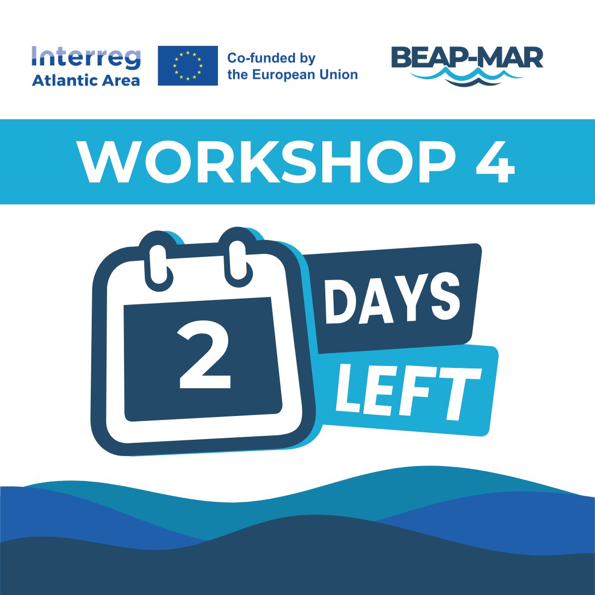 Workshop 4 hosted by University of Algarve takes place online on Friday 6th June but there is still time to register and attend!

👉 Event registration here: lnkd.in/e3fMA-XC