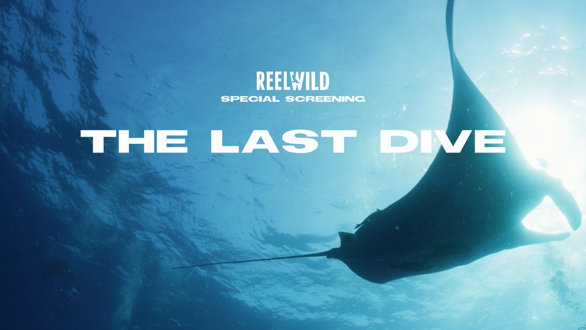 WCS (@thewcs) on Twitter photo UPCOMING: Special #REELWILDNY screening of The Last Dive and a panel discussion with the award-winning filmmaker, <a href="/cody_sheehy/">Cody Sheehy</a>, and WCS experts.
🗓️ Wednesday, June 11, at 7 pm
📍 At WCS’s <a href="/nyaquarium/">New York Aquarium</a>
🎟️ Tickets: bit.ly/4jhmvfr UPCOMING: Special #REELWILDNY screening of The Last Dive and a panel discussion with the award-winning filmmaker, <a href="/cody_sheehy/">Cody Sheehy</a>, and WCS experts.
🗓️ Wednesday, June 11, at 7 pm
📍 At WCS’s <a href="/nyaquarium/">New York Aquarium</a>
🎟️ Tickets: bit.ly/4jhmvfr