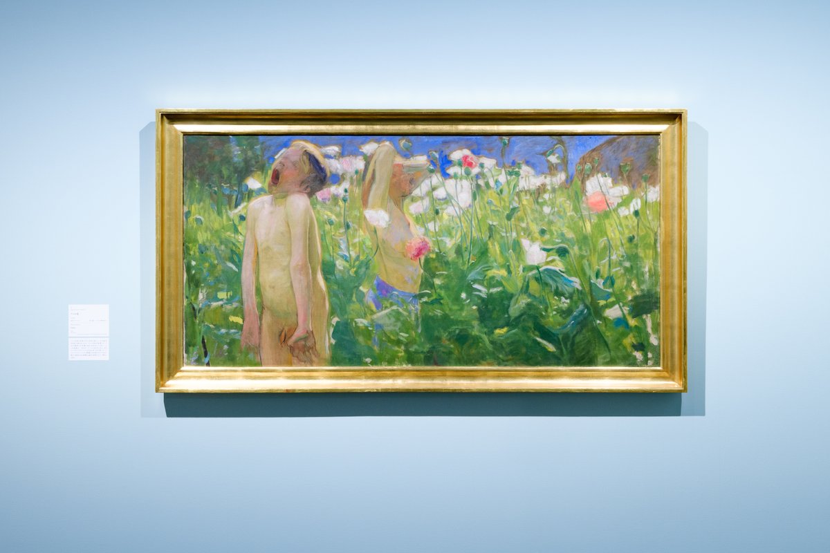 🖼️見逃せない必見作品紹介 🌸 ヴォイチェフ・ヴァイス《ケシの花