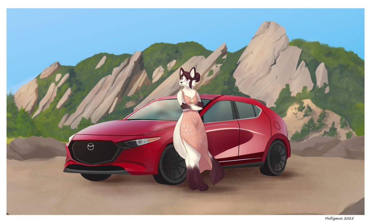 Mulliganos tweet media