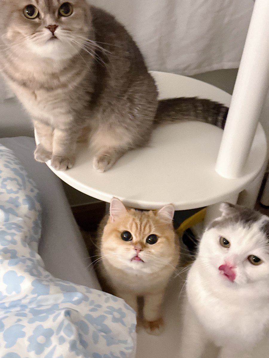 ทีมประท้วงขอข้าวเพิ่ม!