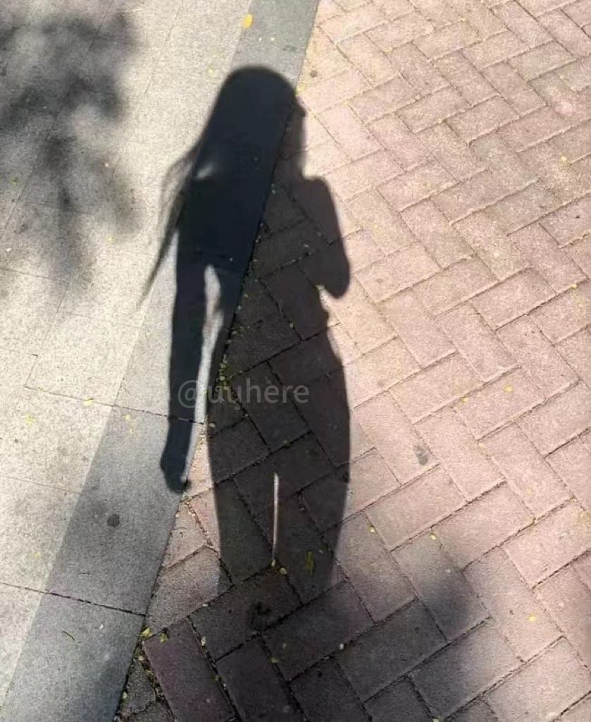 媒体预览