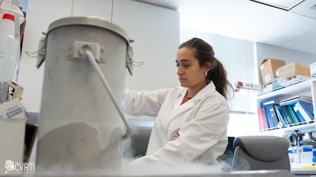 UofU Nora Eccles Harrison CVRTI (@neh_cvrti) on Twitter photo Behind the scenes! 🧪 Rana Hamouche works with liquid nitrogen to flash freeze heart samples for collecting. Once frozen, samples can be used at a later timepoint for different experiments.
<a href="/StavrosDrakos/">Stavros George Drakos</a> <a href="/UofUInternalMed/">University of Utah Department of Internal Medicine</a> <a href="/UtahHealth/">State of Utah</a> <a href="/UofUResearch/">Research at the U</a>
#lablife #research Behind the scenes! 🧪 Rana Hamouche works with liquid nitrogen to flash freeze heart samples for collecting. Once frozen, samples can be used at a later timepoint for different experiments.
<a href="/StavrosDrakos/">Stavros George Drakos</a> <a href="/UofUInternalMed/">University of Utah Department of Internal Medicine</a> <a href="/UtahHealth/">State of Utah</a> <a href="/UofUResearch/">Research at the U</a>
#lablife #research
