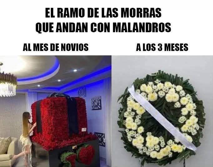 Giancarl78's tweet photo. @QuePocaMadre_Mx https://t.co/e1hzaEG3r6