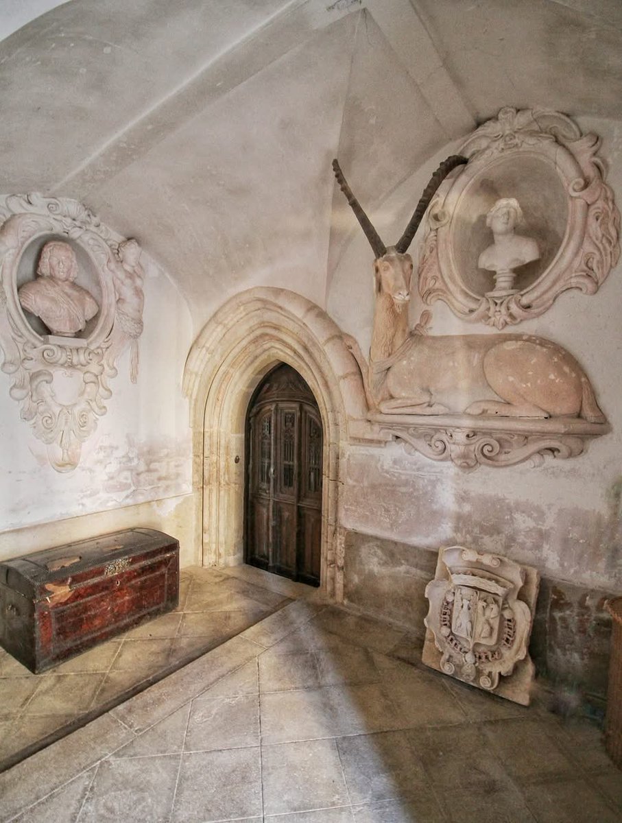🔴 𝗘𝗡𝗧𝗥𝗘𝗭 | Voici une pièce que nous ne vous présentons que trop peu souvent : le vestibule ! 🔍 

Il abrite l'escalier d'honneur mais aussi la chaise à porteurs de Marie-Judith de Vienne, un trésor du XVIIIe siècle ! 💪