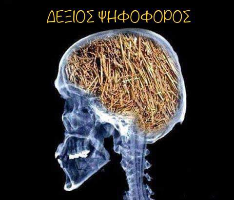 Donis69A's tweet photo. @orthologistis1 https://t.co/bxlJFThAuy