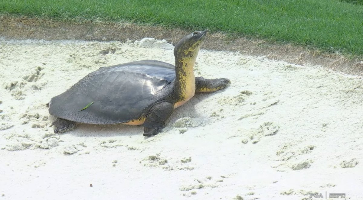 Kyle Porter tweet media