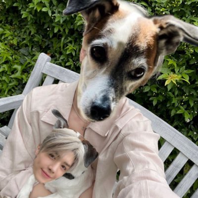 nani_rikiqueen's tweet image. you like the new pfp?😀
thank you @143_skzs 
#NewProfilePic #pandy #pandyforlife #PandyExtravaganza