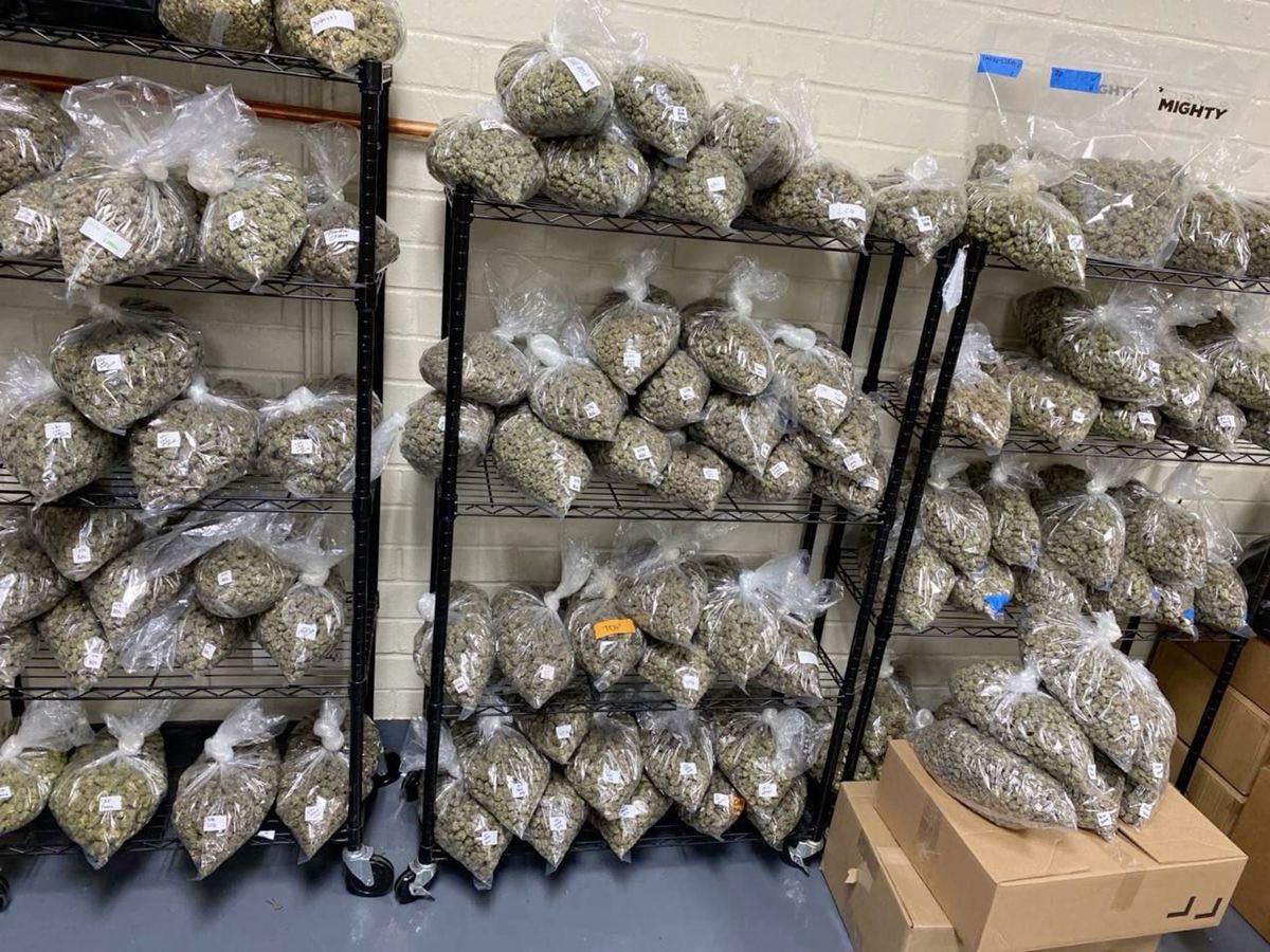 jimbelushisf's tweet image. Looking for someone to bless 

Who’s down for a bag?? 

Repost 
Comment 
Share