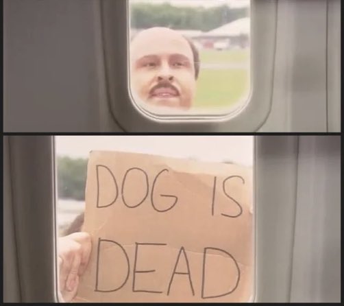 Dominic McDonough tweet media