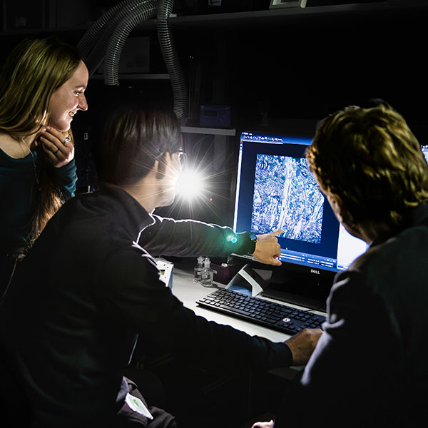 OPNmagazine's tweet image. A new experimental method, dubbed LICONN, allows researchers to use a standard #microscope to visualize the 3D structure of the #brain. 

Read the OPN story: bit.ly/4kmIZg5