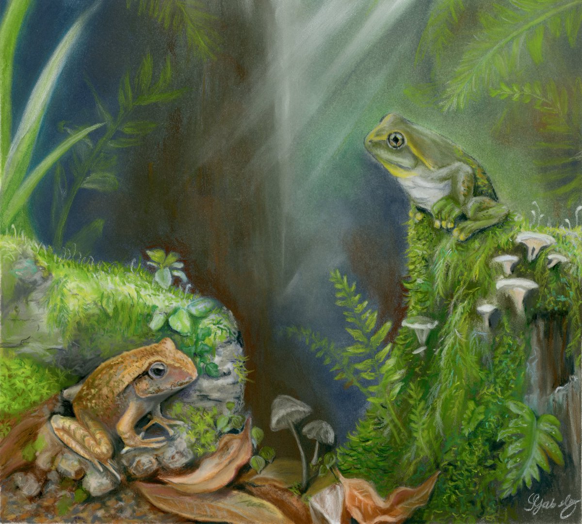 I recently had the pleasure of creating an artist reconstruction of Australia's earliest known tree frog - described in new research by <a href="/RoyMFarman/">Roy M. Farman 🐸🦎</a> and team! 🐸

tandfonline.com/doi/full/10.10…

Platyplectrum casca (left) and newly described Litoria tylerantiqua (right).