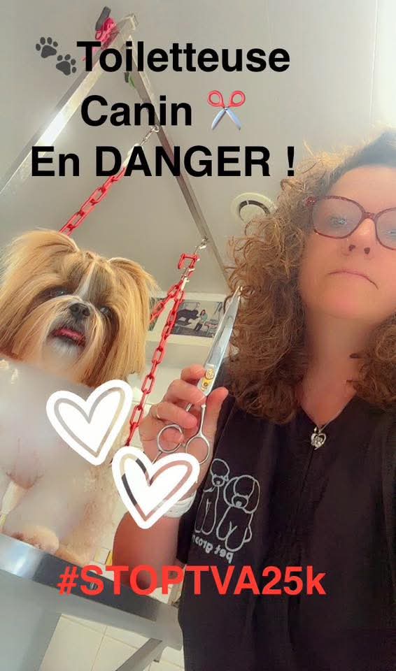 _Astrid_Astrid2's tweet photo. Qui fera leur boulot si ces #entrepreneurendanger disparaissent a cause de la reforme du #seuildefranchise de #tva ? #StopTVA25K la #simplification c est l'#abrogation https://t.co/pVzZpxwNUN