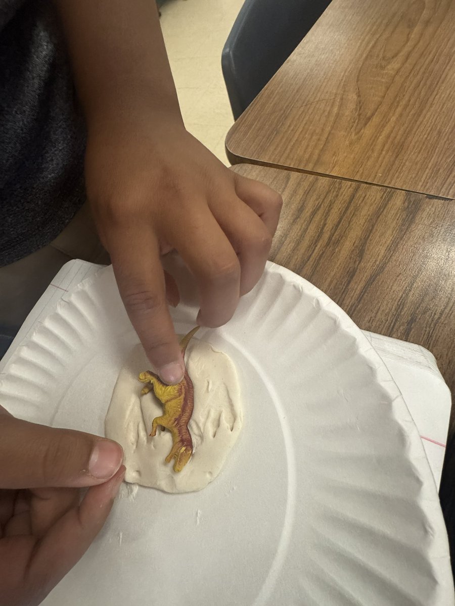 Maria Natera tweet media