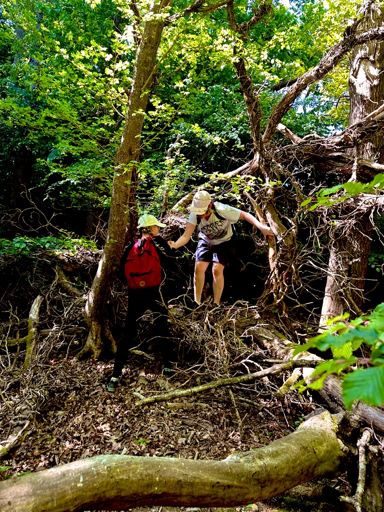TSLA Enrichment and Careers (@tslaenrichment) on Twitter photo Our Bronze & Silver #DofE students smashed their practice expedition around Battle Great Woods—independently planning 3–7km routes & trying out Trangias for the first time!
Proud teachers, excited for Term 6 expeditions!
#OutdoorLearning <a href="/sl_academy/">The St Leonards Academy</a> Our Bronze & Silver #DofE students smashed their practice expedition around Battle Great Woods—independently planning 3–7km routes & trying out Trangias for the first time!
Proud teachers, excited for Term 6 expeditions!
#OutdoorLearning <a href="/sl_academy/">The St Leonards Academy</a>