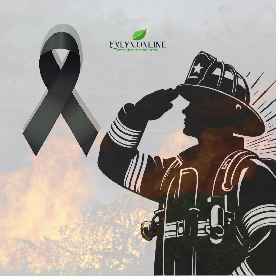 EvlynOnline's tweet photo. 👩🚒 #HéroeCombatiente |
México 🇲🇽 perdió al #combatiente Karel Yonathan Navarro Núñez quien murió intentando apagar el #Incendioforestal 🔥 en el ejido #LasPlayas del municipio de Casas Grandes #Chihuahua. Es el cuarto #combatiente👩🚒 que pierde la vida en la temporada 2️⃣0️⃣2️⃣5️⃣ https://t.co/qbEoK3cO1V