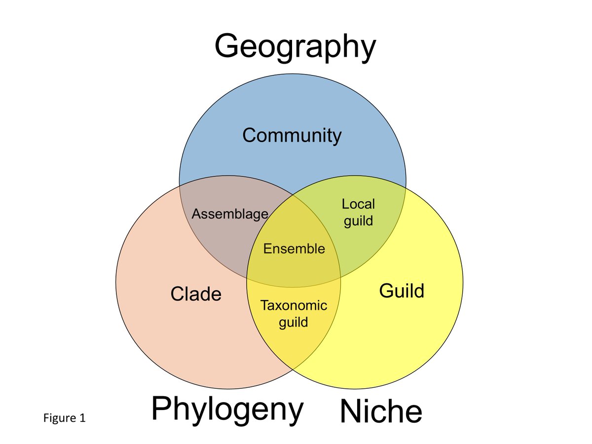 ESAMonographs's tweet image. 🆕 in our "Method" section: A new framework maps how, where & what we measure in biodiversity research, uniting 130 metrics and clear guidelines so ecologists pick the right tools for the right questions
📄The units of biodiversity
doi.org/10.1002/ecm.70…