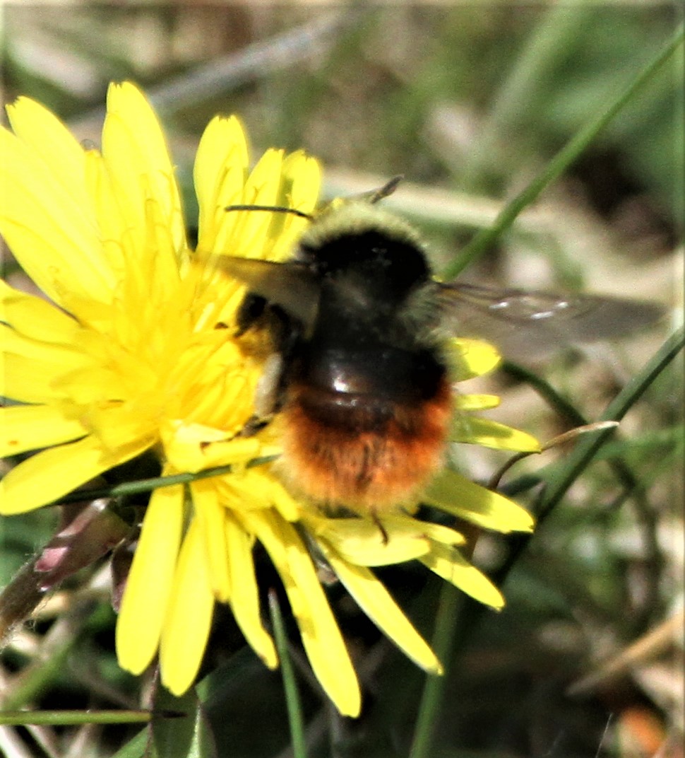 Allen Stuart Holmes tweet media