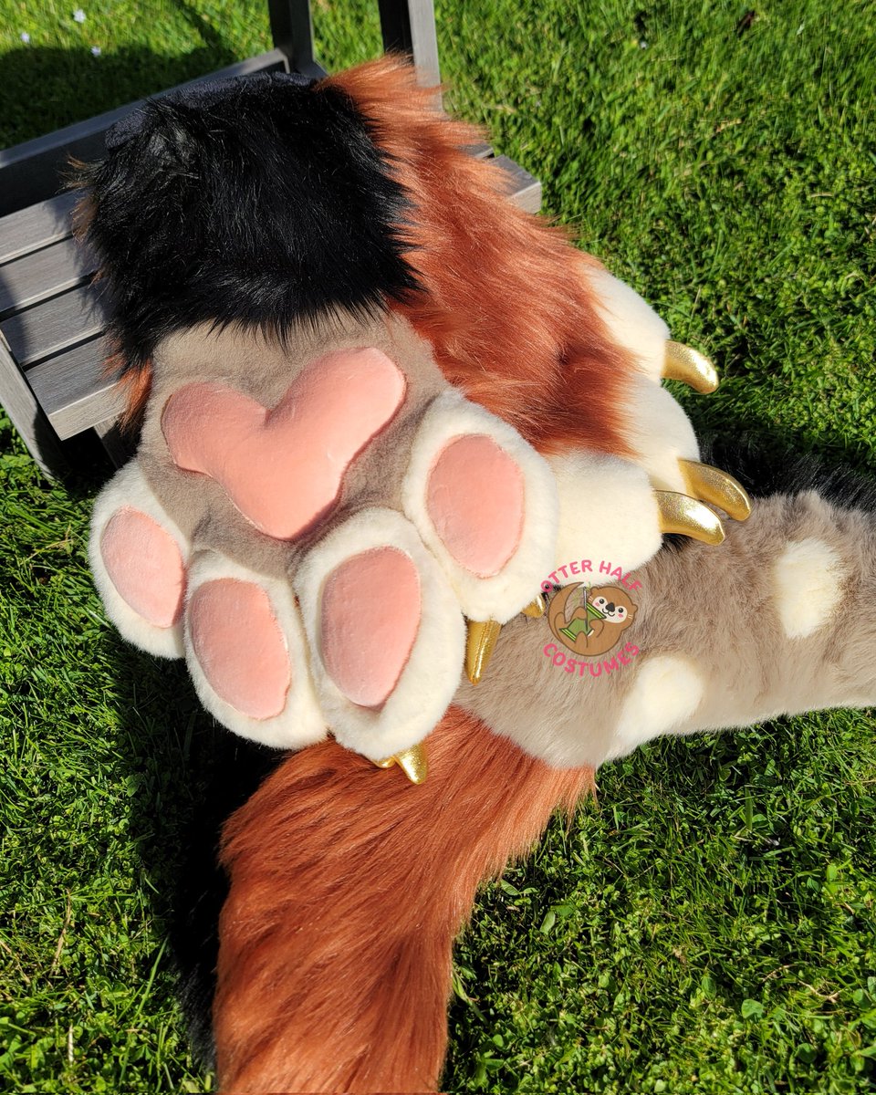 otter_half's tweet photo. This suit is available for offers! Please see my telegram in my bio for more info ❤️

#coyotefursuit #fursuitpremade #fursuitmaker #caninefursuit https://t.co/UYNfXeEsQu