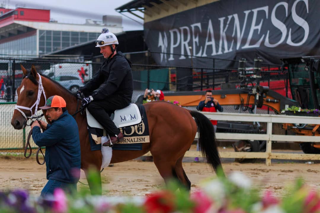 ¡La emoción del Preakness Stakes llega a los Sport Books de Trackandraces! Vive la adrenalina de cada carrera, apuesta a tu favorito y celebra la victoria en un ambiente único. ¡Te esperamos! #PreaknessStakes #Trackandraces #Hipismo #ApuestasDeportivas