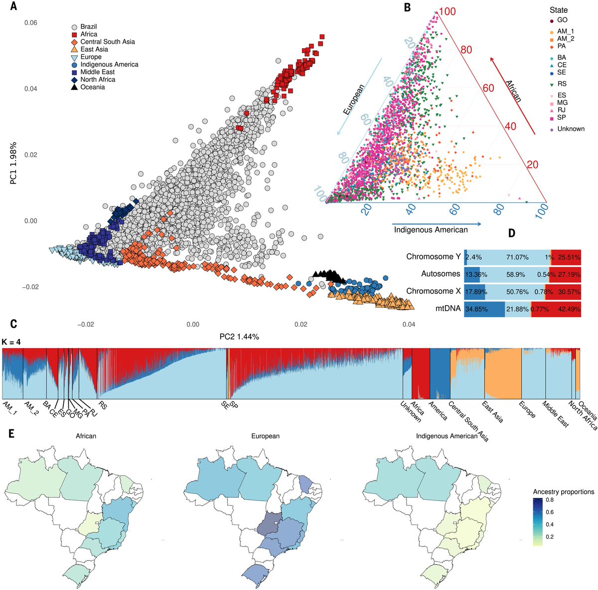 Tábita Hünemeier 🏳️🌈 (@hunemeier_t) on Twitter photo Our new paper is out in <a href="/ScienceMagazine/">Science Magazine</a>! By exploring the rich genetic diversity of Brazil, we show how fine-scale genomic analyses reveal that this diversity, rooted in Indigenous ancestry and centuries of complex demographic history, plays a key role in population health. Our new paper is out in <a href="/ScienceMagazine/">Science Magazine</a>! By exploring the rich genetic diversity of Brazil, we show how fine-scale genomic analyses reveal that this diversity, rooted in Indigenous ancestry and centuries of complex demographic history, plays a key role in population health.