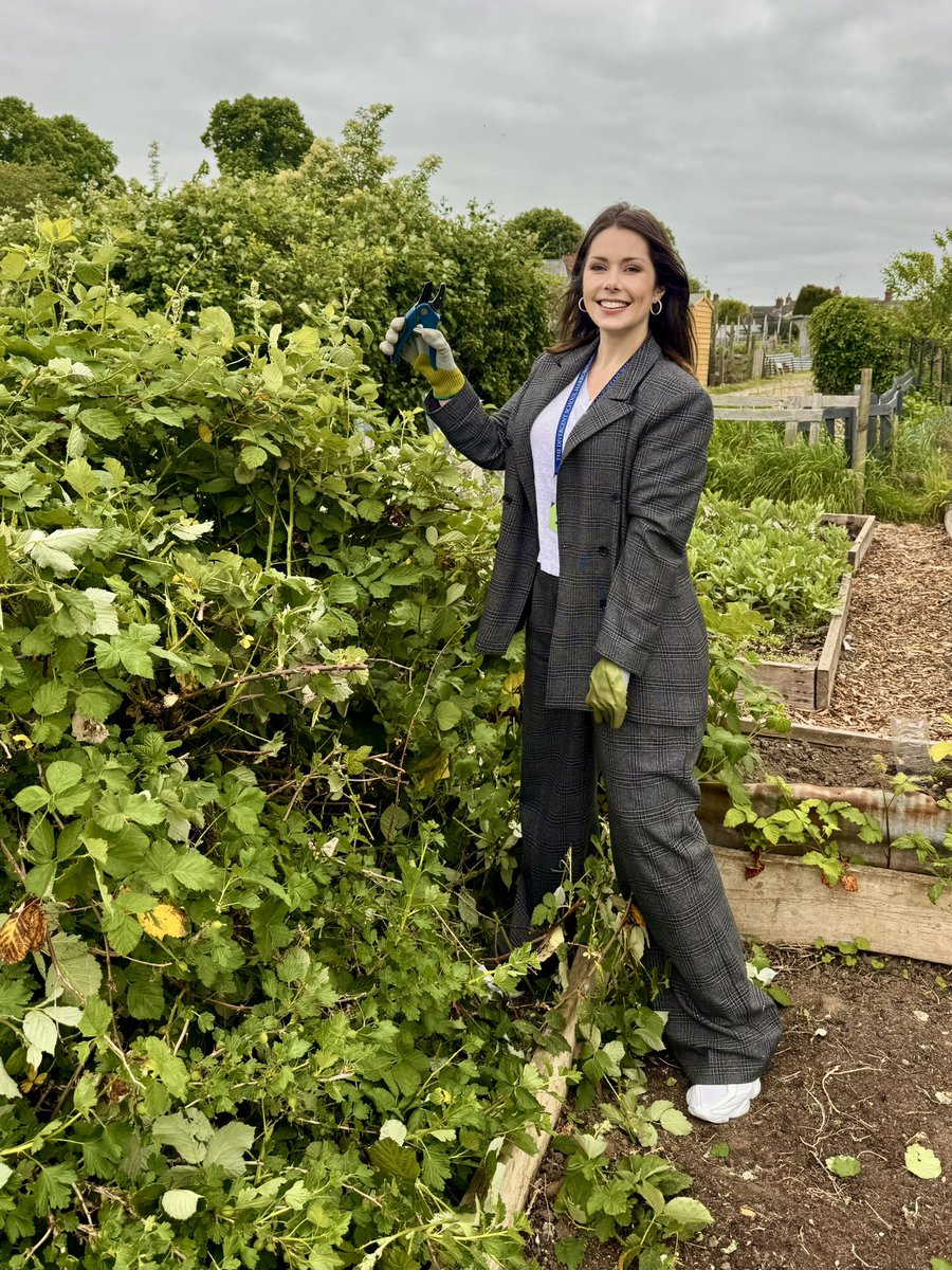 Divergent Schools tweet media