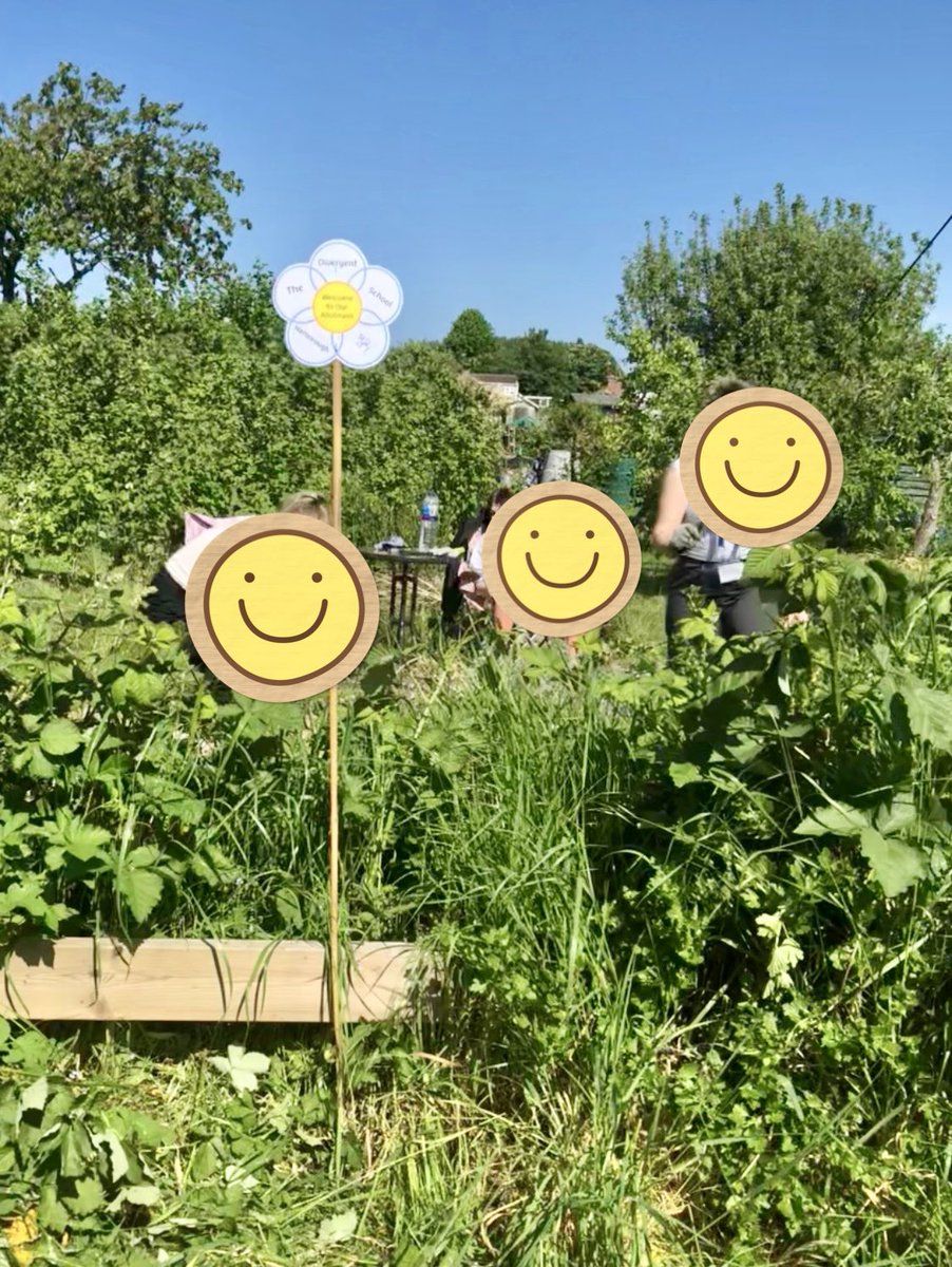 Divergent Schools tweet media