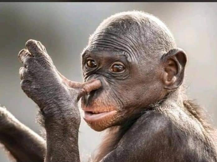 KaPhindile's tweet image. Those must do revenge diaries with Sis Bertha 😂😂#SkeemSaam