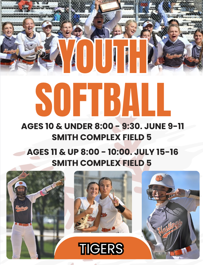 Hastings High Softball tweet media