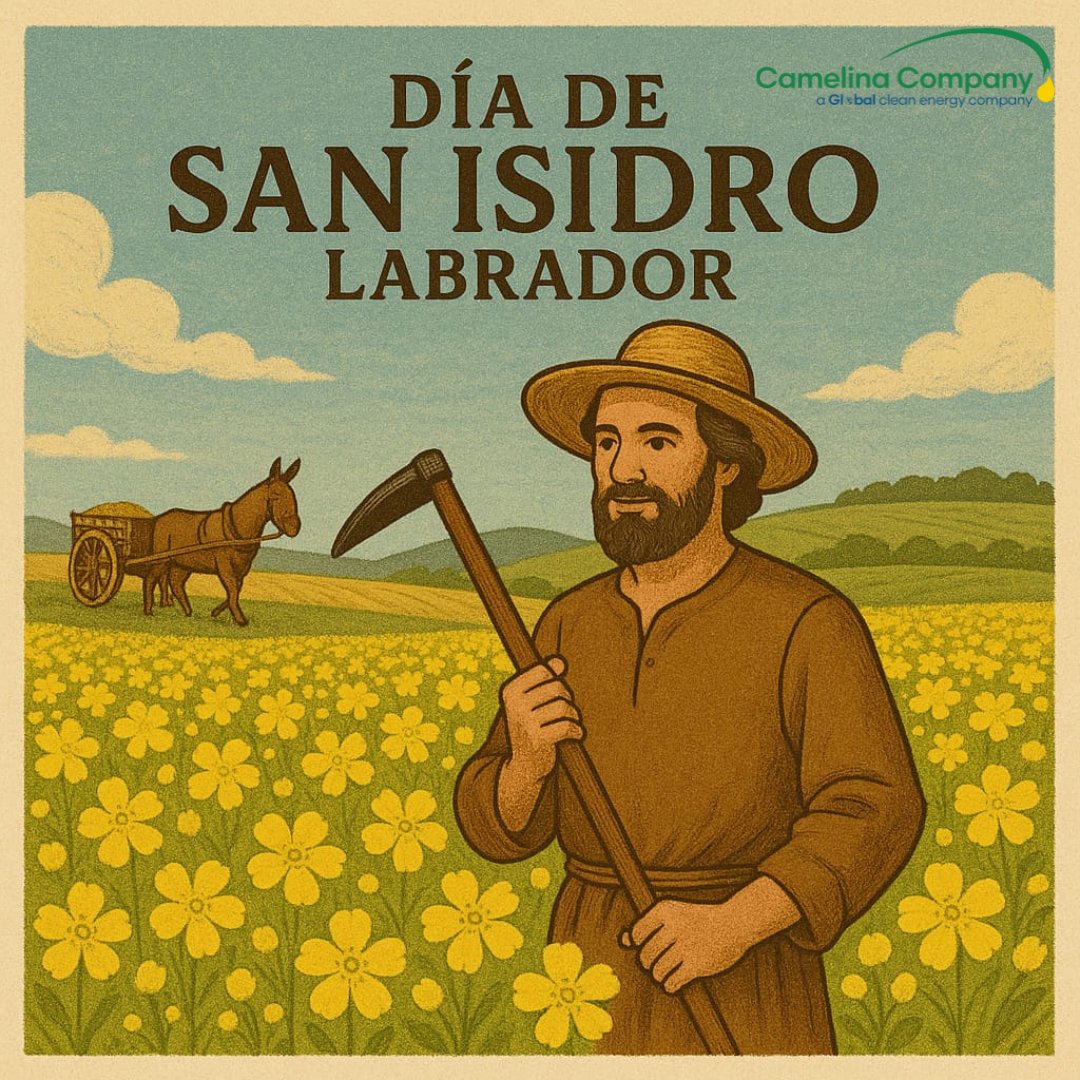 Camelina Comp España tweet media