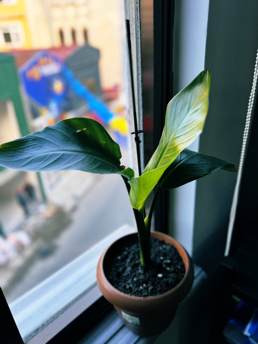 bbusraaaa5's tweet photo. Arkadaşlar sevgi her şeyi iyileştirir 🌱 https://t.co/7JKQkANROw