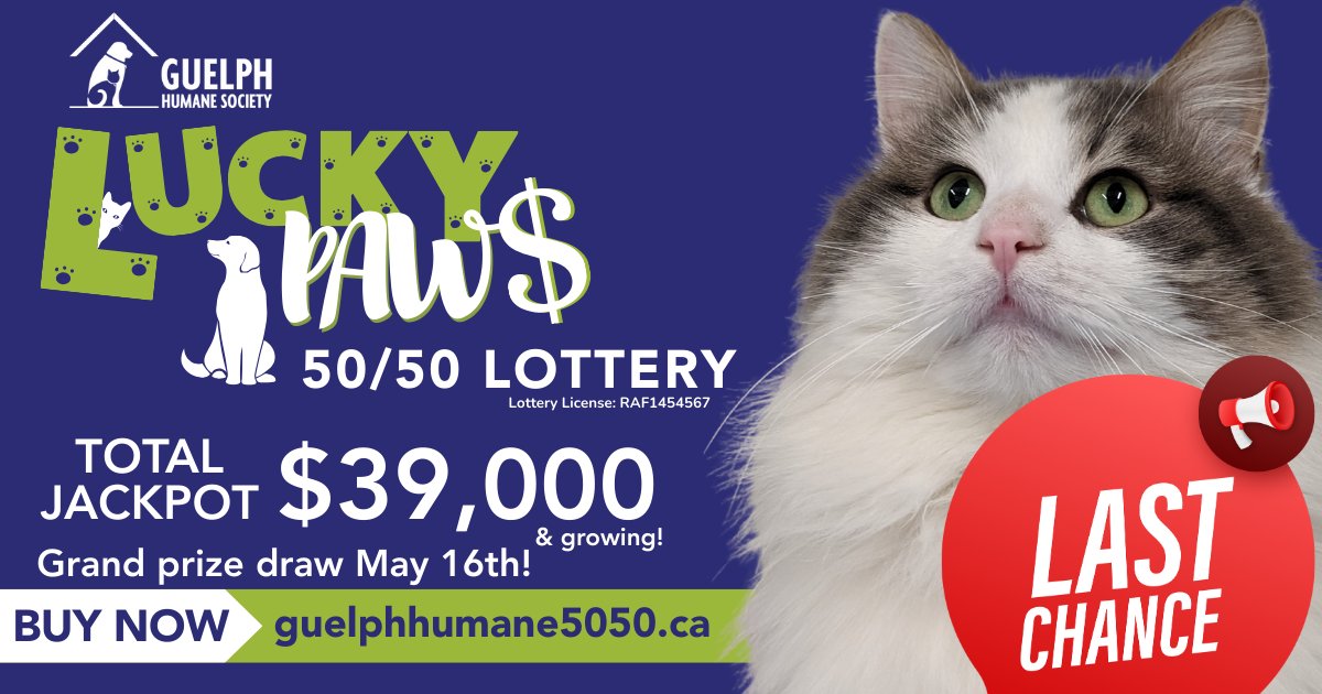 Guelph Humane Society (@guelphhumane) on Twitter photo 2 DAYS LEFT! The GHS Lucky Paws 50/50 Lottery jackpot is more than $39,000 & GROWING. Winner take HALF! Get your paws in the GAME before the Grand Prize Draw - Friday, May 16th at 12 p.m.
Your LUCKY break is their 2nd chance! Tickets are on sale at guelphhumane5050.ca 2 DAYS LEFT! The GHS Lucky Paws 50/50 Lottery jackpot is more than $39,000 & GROWING. Winner take HALF! Get your paws in the GAME before the Grand Prize Draw - Friday, May 16th at 12 p.m.
Your LUCKY break is their 2nd chance! Tickets are on sale at guelphhumane5050.ca