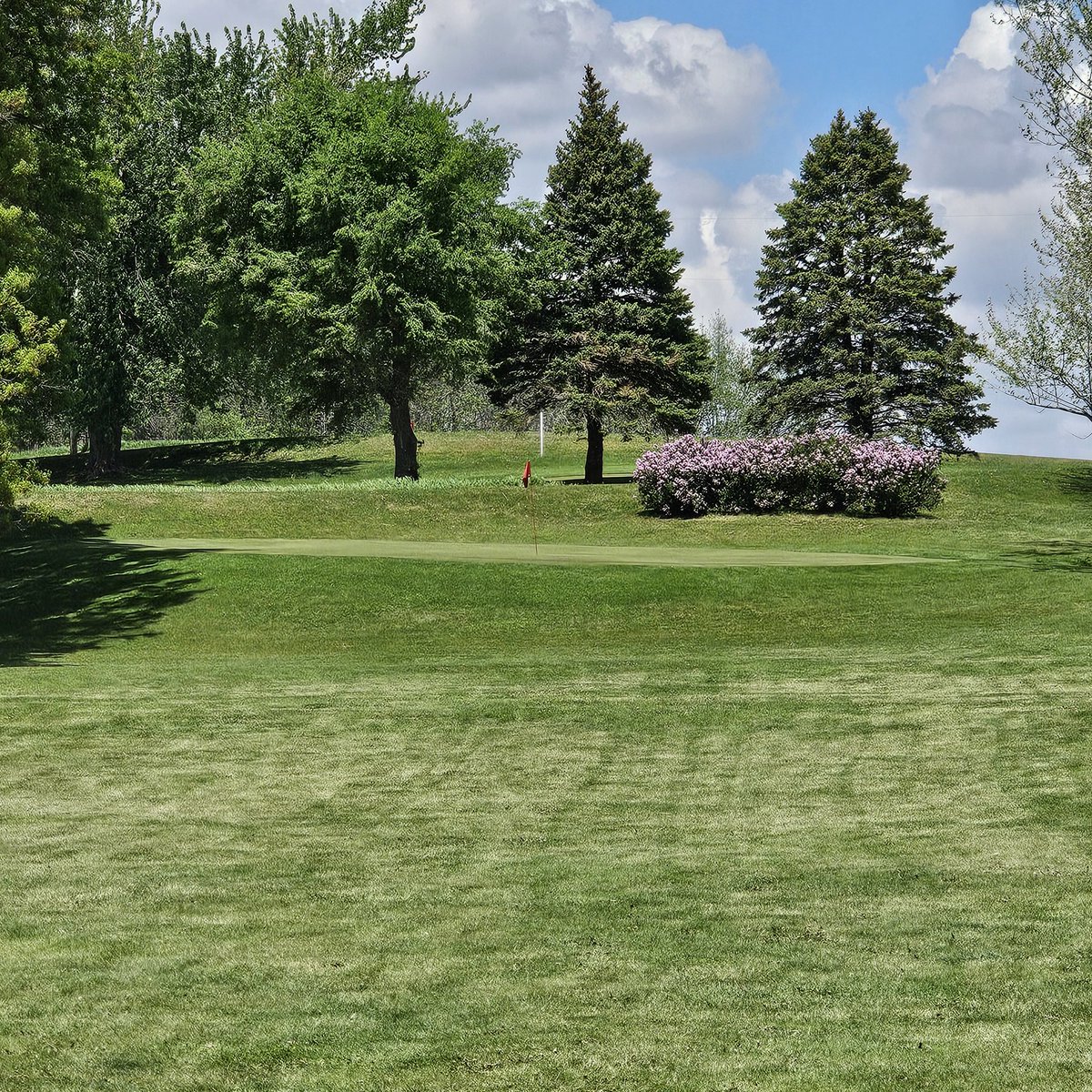 Mike Ihm ⛳ tweet media