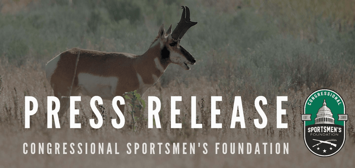 Announcement: Public land sales and exchanges are a complex and nuanced issue that is not without consequences for sportsmen and women if not handled properly. Recent actions in Washington, DC have justifiably spurred concerns amongst users of public lands, including hunters,