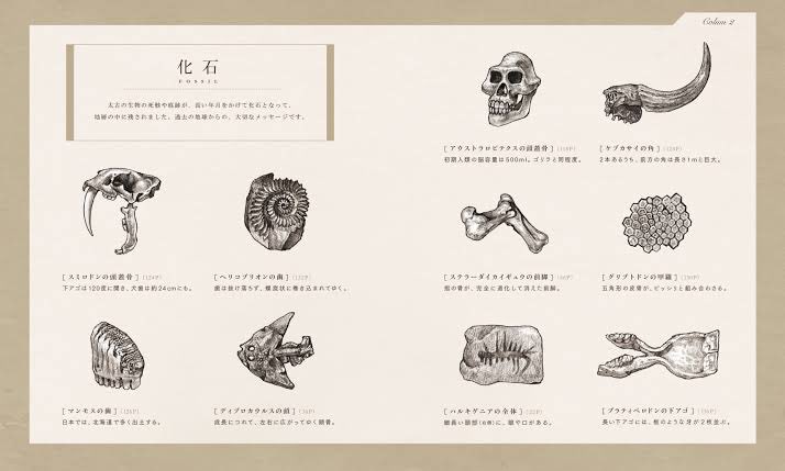 絶滅生物図誌は、パッションで描きまくって2年かけて作った(自画自賛ですが)美しい本です。大好きなデザイナーさんにお願いした装丁も素敵すぎる一冊。

https://t.co/k8Go03G6jn 