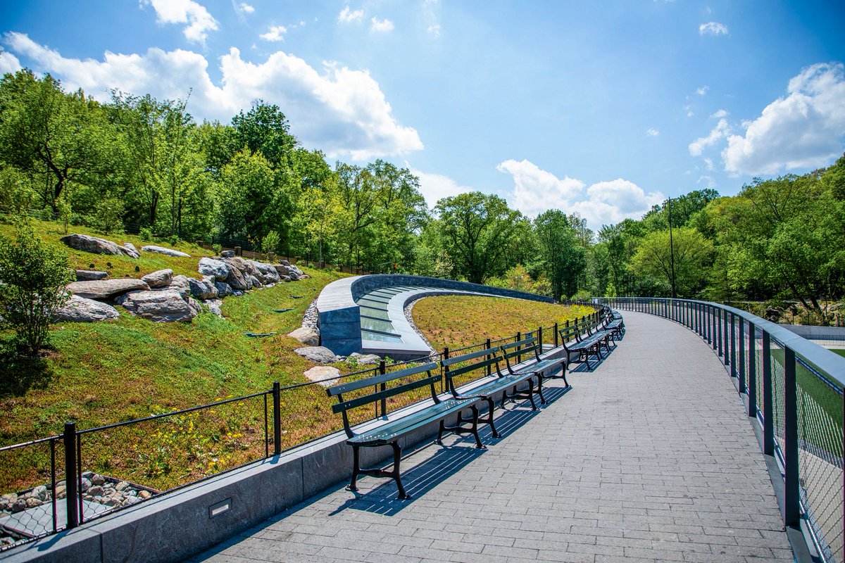 Central Park tweet media