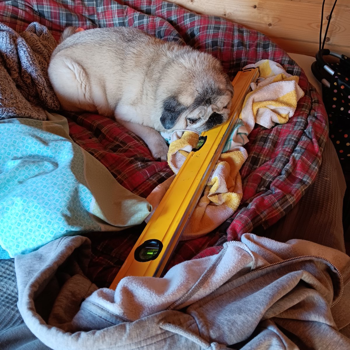 Heute vor einem Jahr habe ich meinem Opi das Werkzeug weggenommen. Er hatte gar kein Auge mehr für mich. Oma war in Dänemark bei den Enkeln und er wollte unbedingt ein Bauprojekt in der Laube abschließen. Dabei dachte ich wir machen ein Männerwochenende 😌