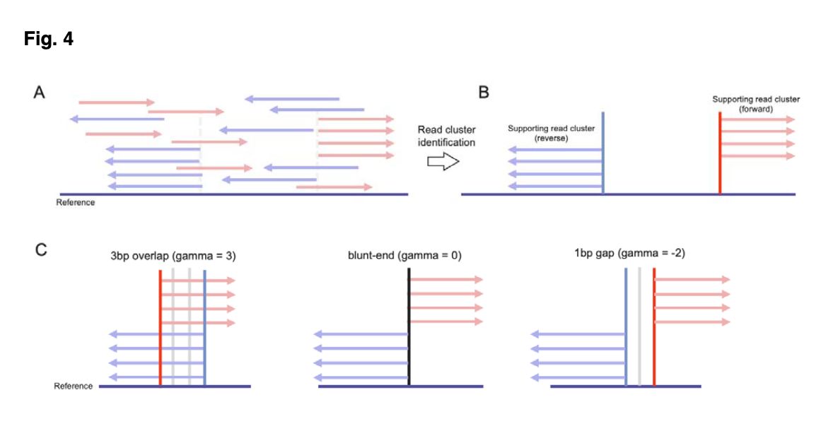 SANTON: Sequencing Analysis Toolkits for Off-target Nomination biorxiv.org/content/10.110… 🧬🖥️🧪 github.com/VOR-Quantitati…