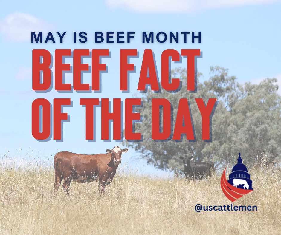 U.S. Cattlemen's Association tweet media