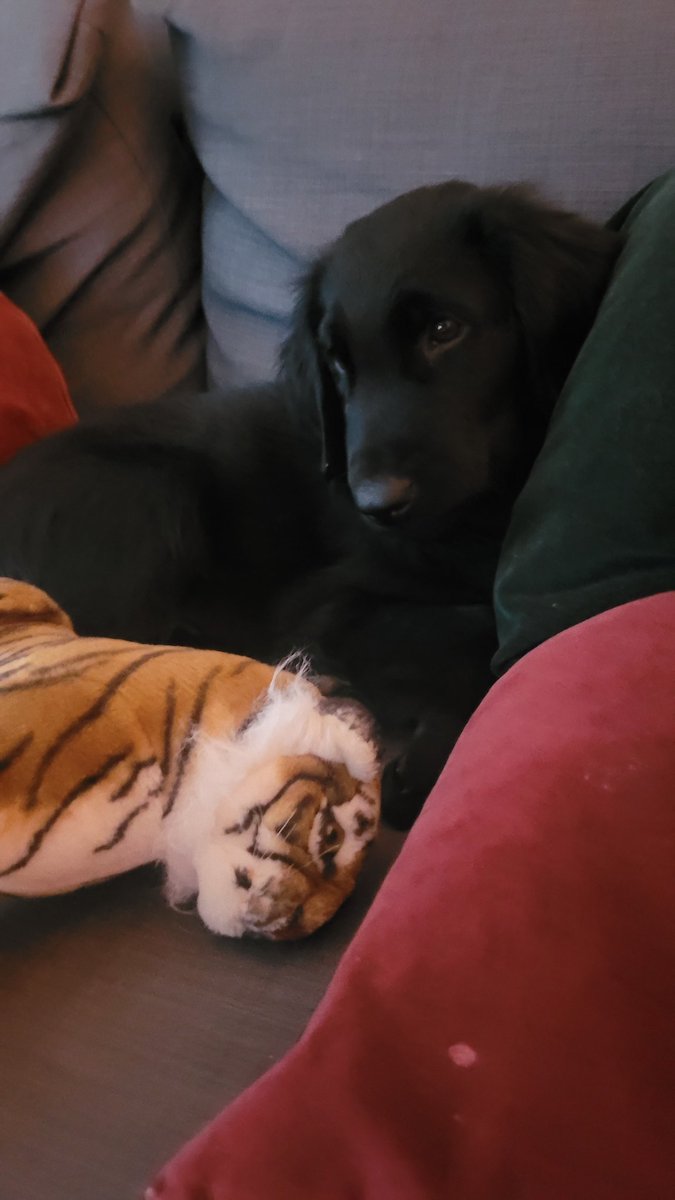 Eija Aaltonen 🖤 tweet media