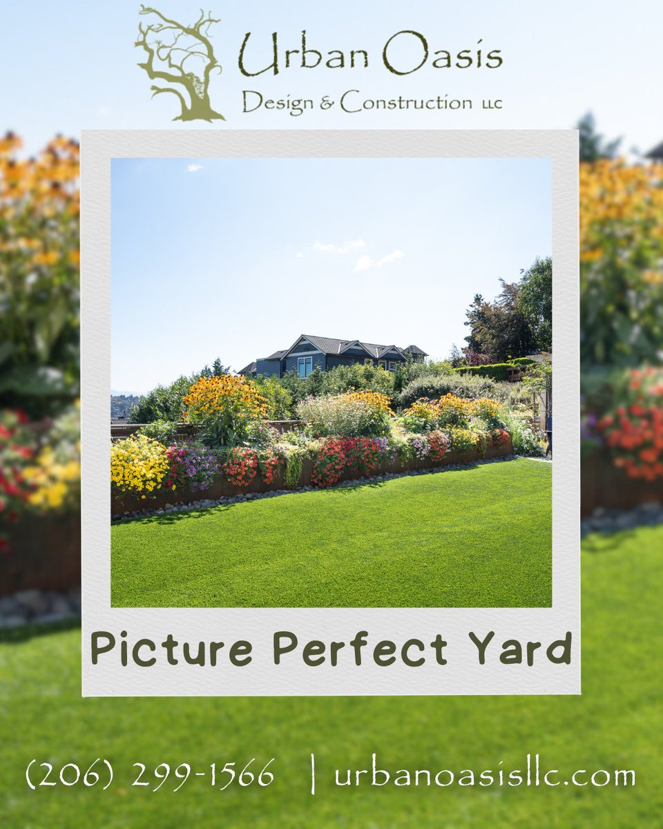 UrbanOasisLLC's tweet photo. From stunning ornamental plants to true natives, our expertise ensures your outdoor oasis flourishes. Learn more https://t.co/k0UHeP7O3a #urbanoasisllc #nativeplanting #ornamentalplanting #outdooroasis #outdoorliving #landscapedesign https://t.co/2Tc7AfykDw