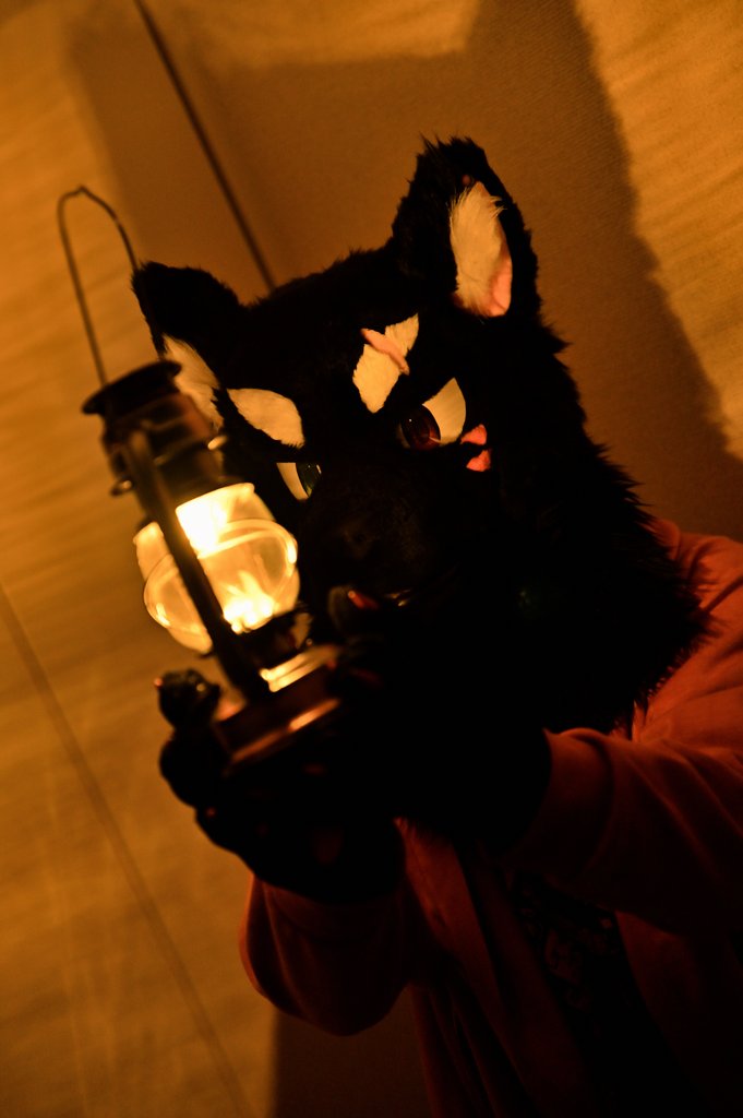 ✨

📸:#ZERO1536 

#FursuitFriday