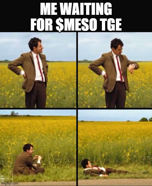 My entry for <a href="/Meso_Finance/">Meso Finance</a> meme contest 

#TGEMesoFinance